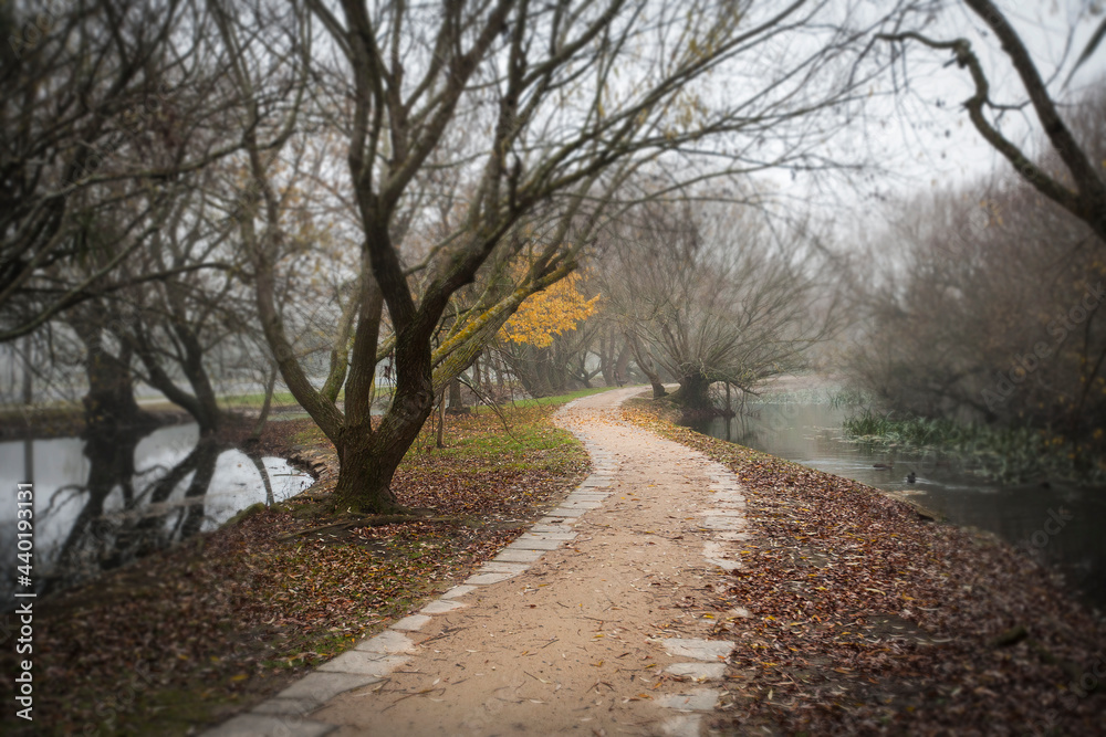 Winding path through gardens on a misty morning Winding path through gardens on a misty morning
