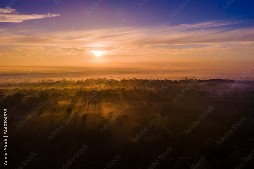 Sunrise shining golden rays through the early morning fog softly blanketing a prehistoric landscape