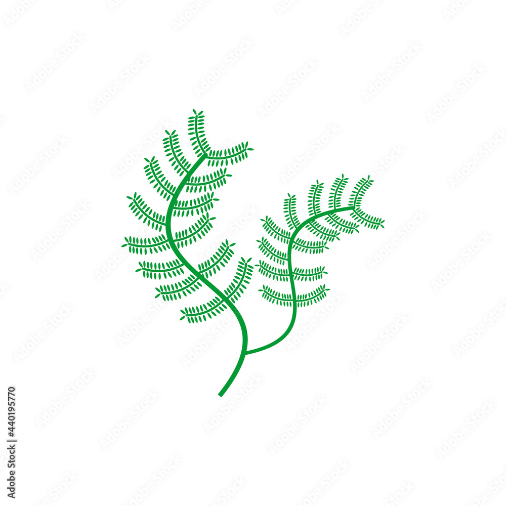 sea plant icon set vector sign symbol sea plant icon set vector sign symbol