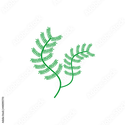 sea plant icon set vector sign symbol