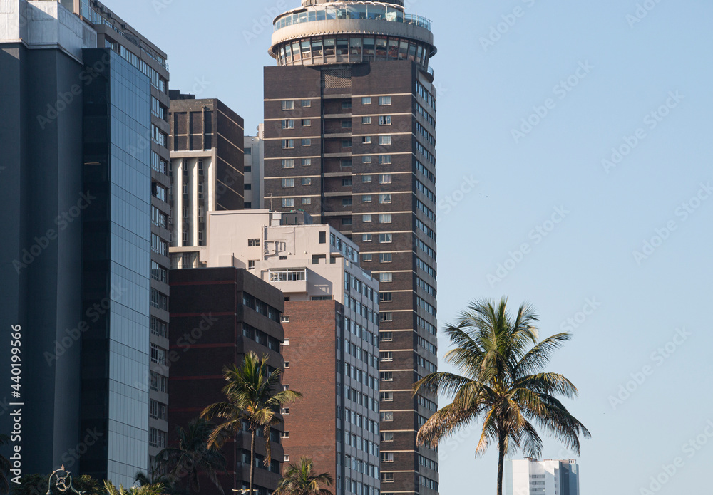 Palm Trees Growing on Esplanade in front of Tall Buildings