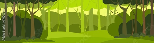Forest trees background. Glade in the thicket. Beautiful green summer landscape. Flat design. Cartoon style. Background illustration. Vector