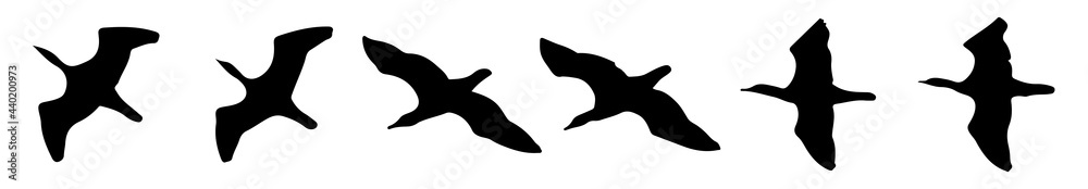 Set of birds contour silhouettes for drawing flying shapes on your collage, different angles. Eps10 vector illustration isolated on white background. Set of birds contour silhouettes for drawing flying shapes on your collage, different angles. Eps10 vector illustration isolated on white background.