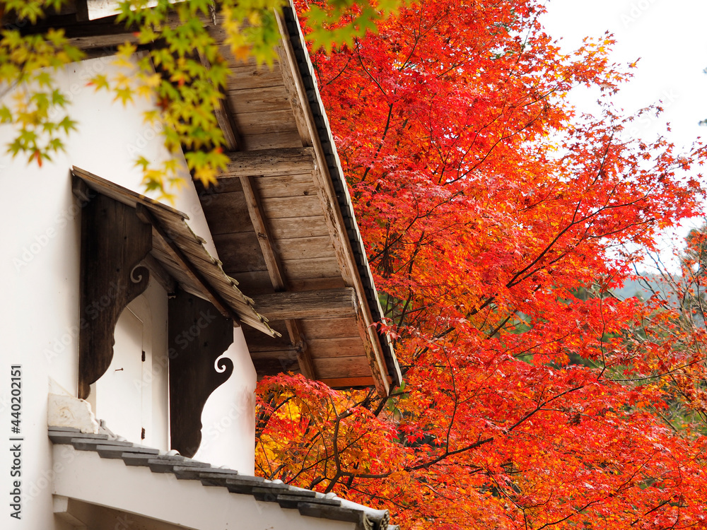 奈良室生寺の紅葉の風景 Stock Photo Adobe Stock