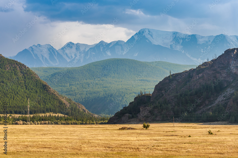 Nature and pristine landscape of Altai republic, Siberia, Russia. 
