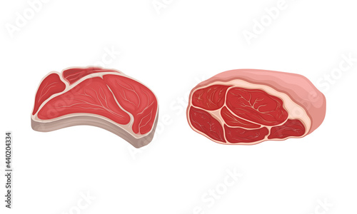 Meat with Tenderloin Slabs as Foodstuff from Butchery Vector Set