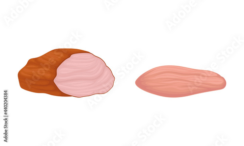 Meat with Smoked Slab and Fillet as Foodstuff from Butchery Vector Set