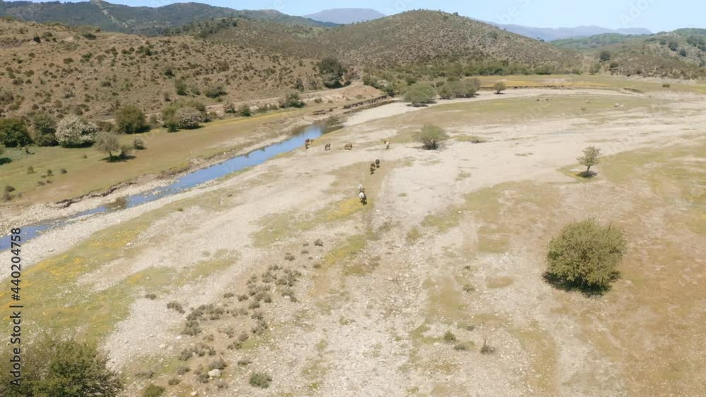 Herd of wild horses walking in a row next to a dried out river tourists watching from far away Pt.1 Herd of wild horses walking in a row next to a dried out river tourists watching from far away Pt.1