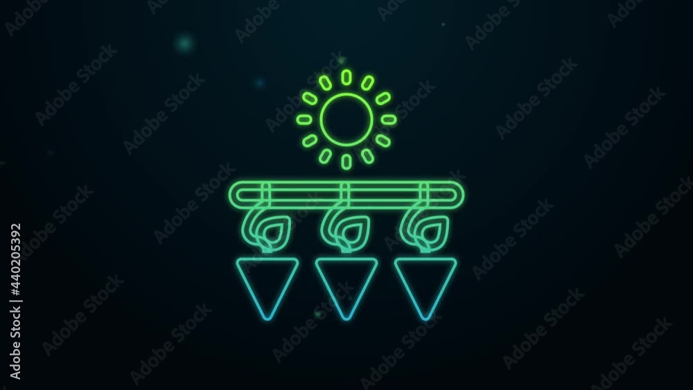 Glowing neon line Drying grapes icon isolated on black background. Dried grapes. 4K Video motion graphic animation Glowing neon line Drying grapes icon isolated on black background. Dried grapes. 4K Video motion graphic animation