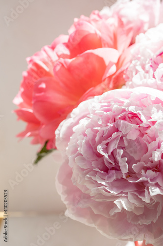 Bouquet of pink peonies in a matching pink watering can