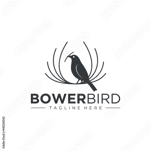 bird logo, weaver bird logo, bower bird logo vector