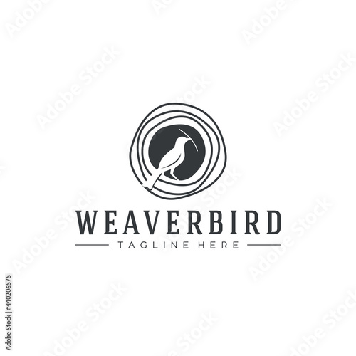bird logo, weaver bird logo, bower bird logo vector