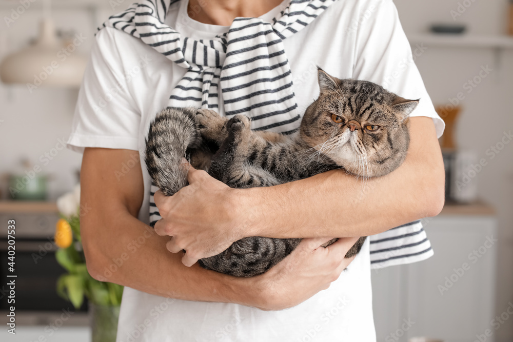 Young man with cute cat in kitchen, closeup