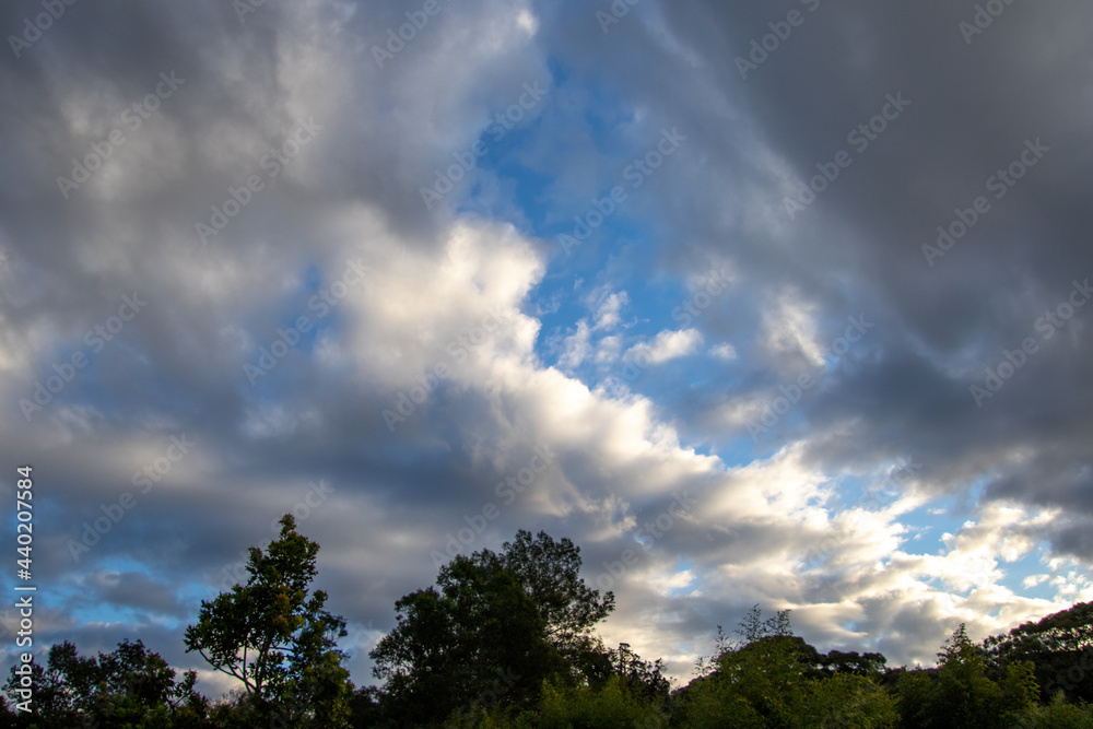 Cloudscapes above the Knysna forest in South Africa Cloudscapes above the Knysna forest in South Africa