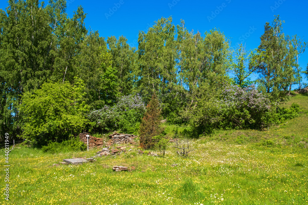 Idyllic blooming meadow with an old ruin in the summer