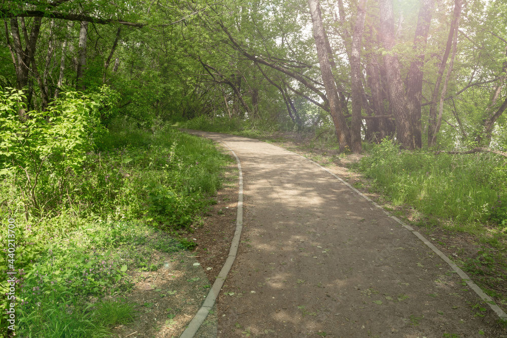 Naklejka premium Old Road Texture Background, Sidewalk Pattern, Pathway Wallpaper