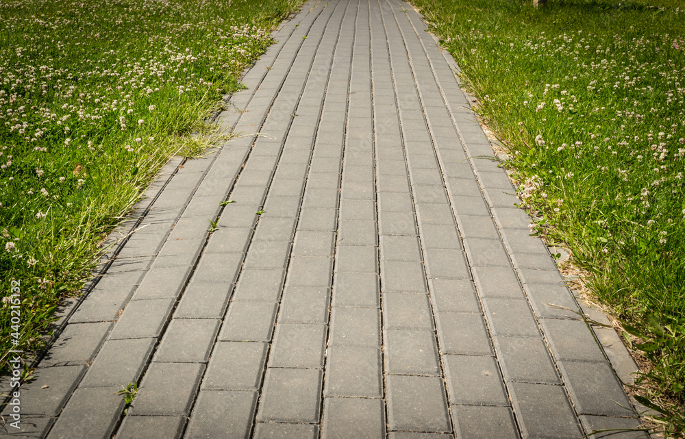 Footpath with grass texture background, paved path pattern