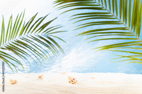Fototapeta Naklejka Na Ścianę i Meble -  Summer sunny tropical beach with green palm leaves, white sand, sun glare, seashells and sea view, nobody. Empty landscape for presentation, design.