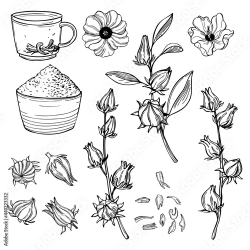  Hibiscus tea set.  Vector illustration.
