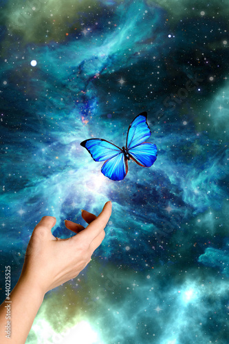 woman hand and blue butterfly