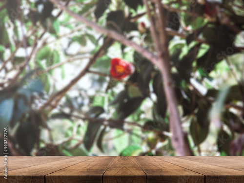 3D rendering, wooden top table on isolate light and blurred background photo