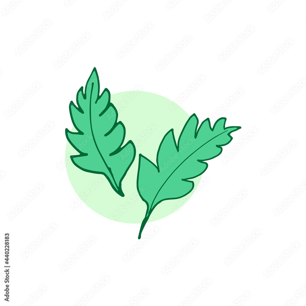 two green leaves illustration on white background. symbol of nature. hand drawn vector. beautiful leaf icon. doodle art for logo, label, cover, poster, wallpaper, advertising, banner, clipart, sticker