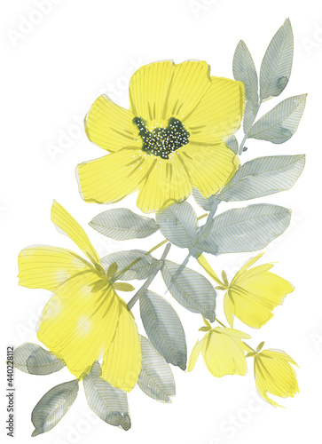 Fototapeta Naklejka Na Ścianę i Meble -  A bouquet of yellow flowers. Hand-drawn. Suitable for printing on textiles, paper, ceramics. Great for packaging design, poster, greeting card, invitation.