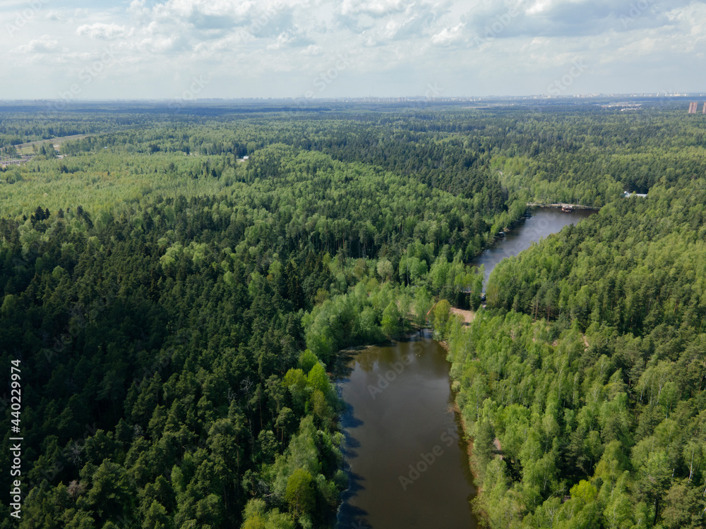 View of the green forest from above. Beautiful panoramic view of the wild nature. Shooting from a drone. Design of wallpapers, screensavers, and covers.