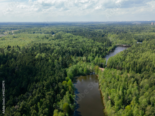 View of the green forest from above. Beautiful panoramic view of the wild nature. Shooting from a drone. Design of wallpapers, screensavers, and covers.