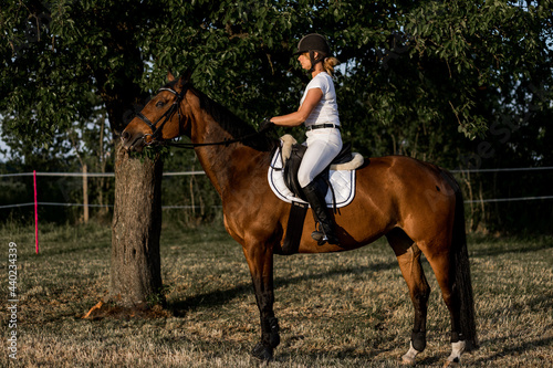 Young rider in helmet and white sports uniform on horse against the background of trees onsummer evening. Side view. Active lifestyle. Beauty and sports. Healthy lifestyle.Excellent sports uniform.