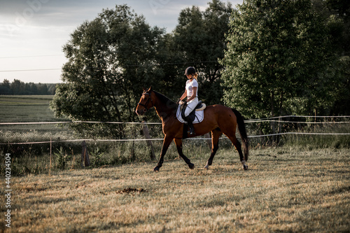 Horse riding training. Preparation for competitions.Beautiful summer evening. Active lifestyle. Sports and health. A wonderful time, life full of meaning.