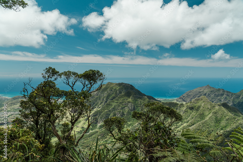 Waianae Range , Mount Kaala Trail , Oahu, Hawaii. Kaʻala or Mount Kaʻala  is the highest mountain on the island of Oahu,  It is a part of the Waianae Range,