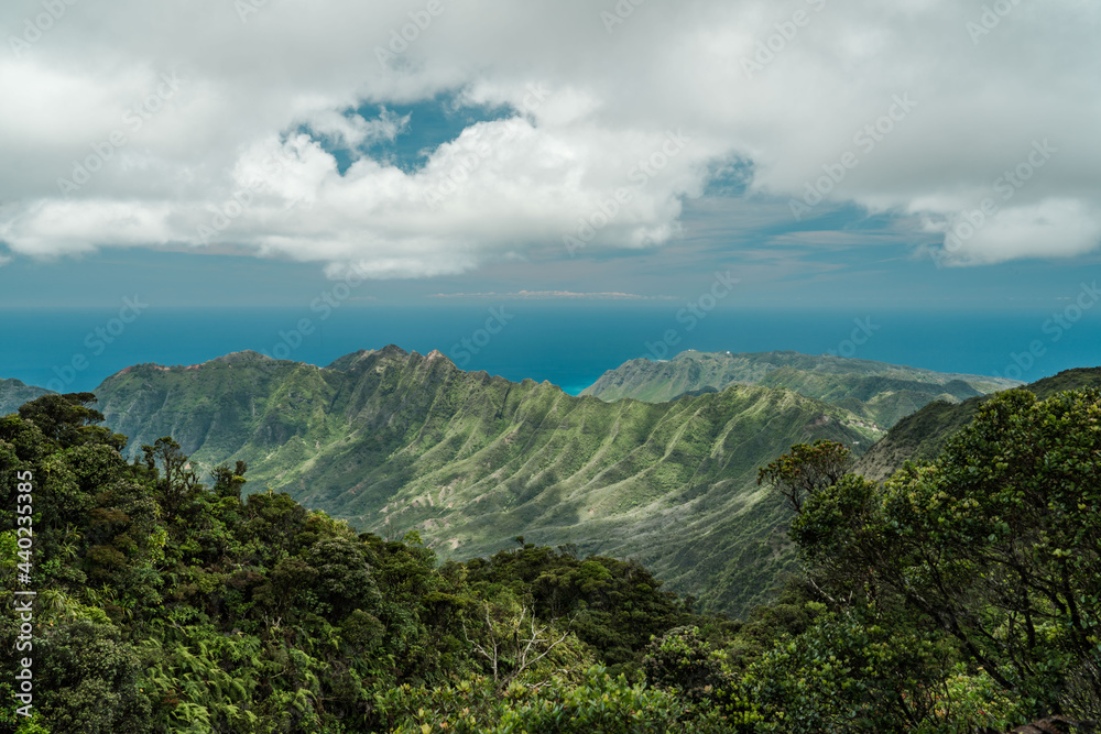 Waianae Range , Mount Kaala Trail , Oahu, Hawaii. Kaʻala or Mount Kaʻala is the highest mountain on the island of Oahu, It is a part of the Waianae Range
