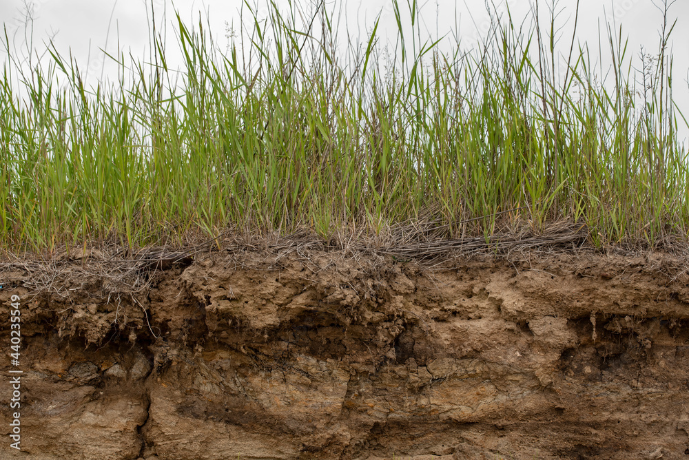 Soil cut due to landslide. Soil cut due to landslide.