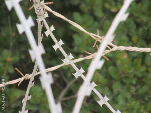 barbed wire fence