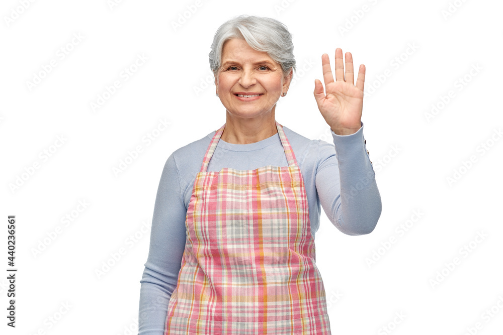 Obraz premium cooking, culinary and old people concept - portrait of smiling senior woman in kitchen apron waving hand over white background