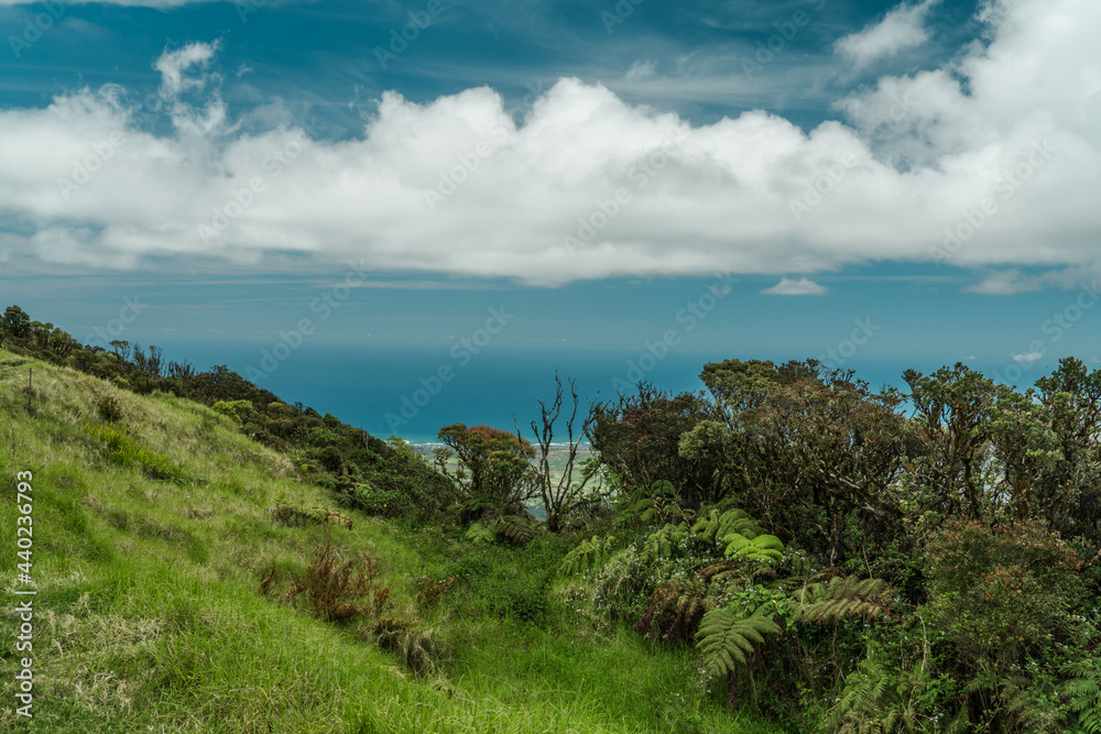 Kaʻala or Mount Kaʻala is the highest mountain on the island of Oahu. an eroded shield volcano. Waianae Range , Mount Kaala Trail , Oahu, Hawaii