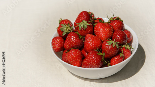 Obraz na płótnie White bowl of fresh ripe strawberries. Local organic strawberries grown without usage of chemical fertilizers and pesticides. Hard shadow. Organic food and clean eating concept. w salonie