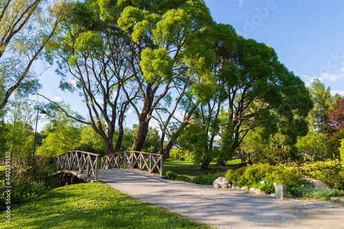 Fototapeta Naklejka Na Ścianę i Meble -  Bridge and lush trees and foliage at the Hatanpää arboretum public park in Tampere, Finland, on a sunny day in the summer.