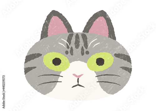 ぶさかわサバトラ猫の手描き風テクスチャ付きアイコン