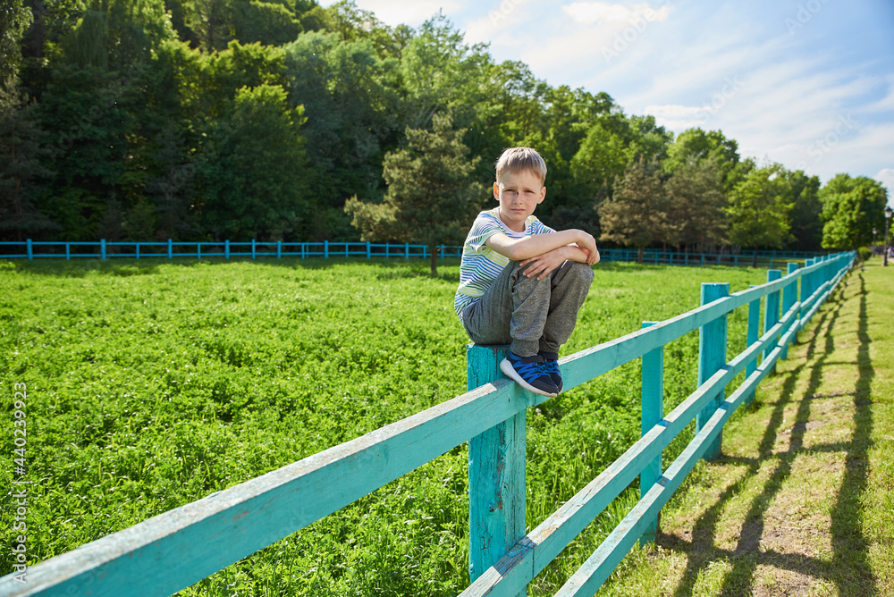 A 9 year old boy sits on a corral fence near the meadow