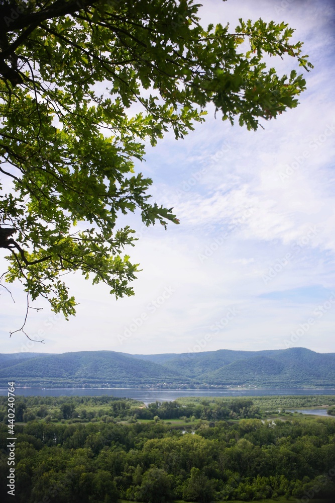 landscape with trees and mountains