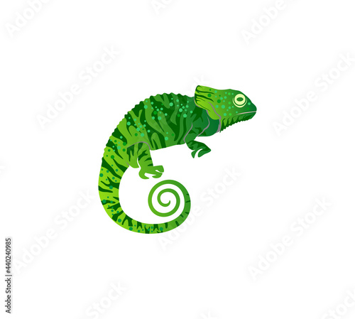 green chameleon illustration vector