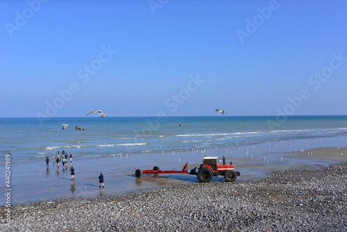Fotografía Baignade d'hiver d'un groupe de baigneuses et d'un tracteur à Quiberville (76860