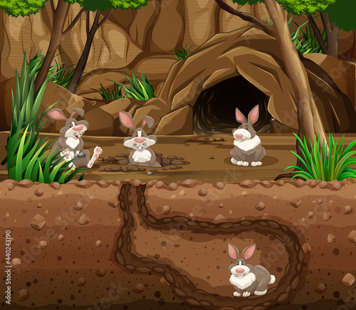 Underground animal burrow with rabbit family