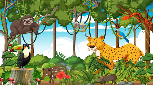 Canvas Print Forest at daytime scene with different wild animals