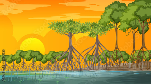 Mangrove forest landscape scene at sunset time