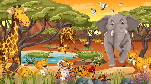 Wild animals in the jungle