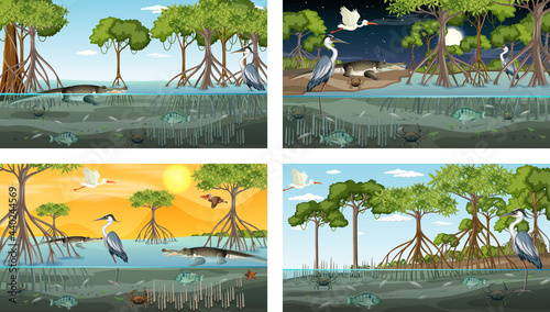 Different mangrove forest landscape scenes with animals and plants