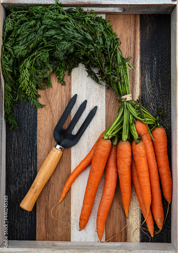 bunch of fresh carrots and garden tools, vintage wooden texture background.